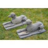 Pair of stone seated grey hounds.