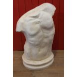 Resin model of male torso.