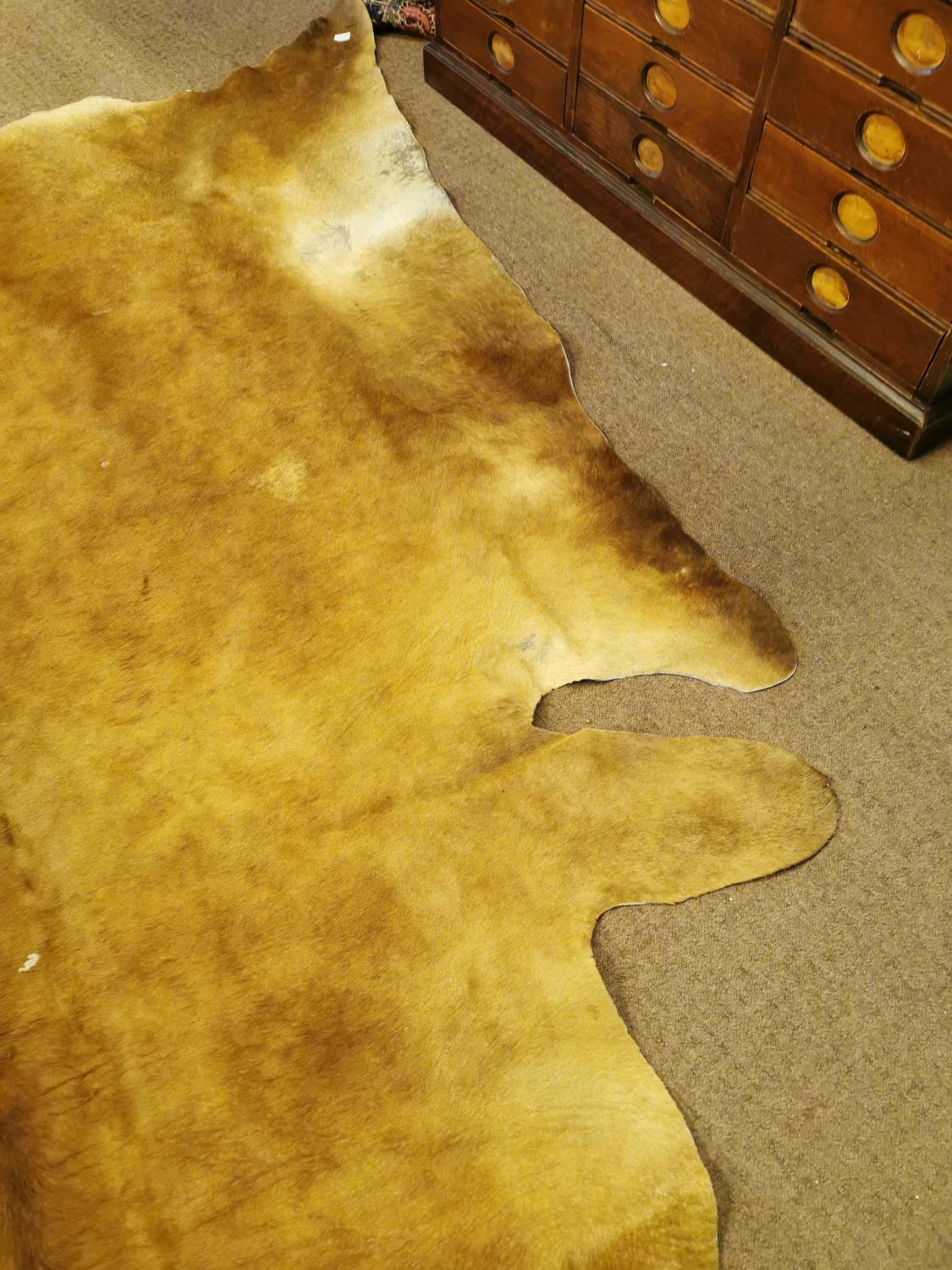 Cow skin rug - Image 5 of 5