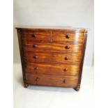 William IV mahogany chest