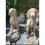 Pair of stone French Hunting Dogs.