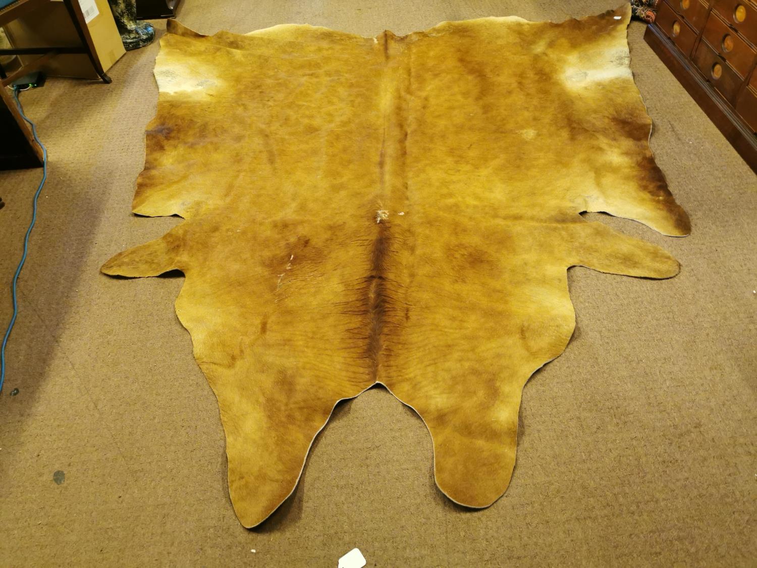 Cow skin rug