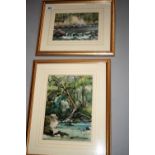 Jose Irwin two gold framed watercolours - "Hooded River Landscape" 45W x 54H and "Natural Weir"