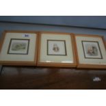 Set of three oak framed prints of rabbits. 20W x 20H
