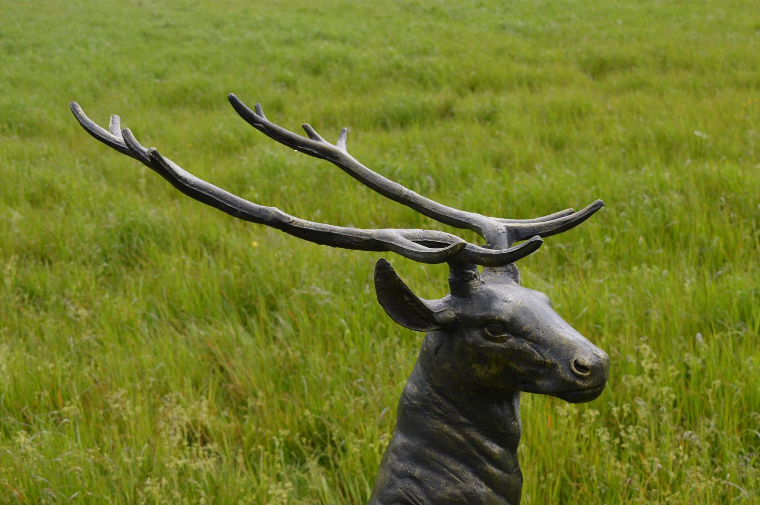 Life size cast iron model of a Irish Deer on oval base.100W 140H - Image 2 of 2