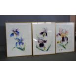 Ann Gover set of three water colours, featuring different flowers. 35W x 59H