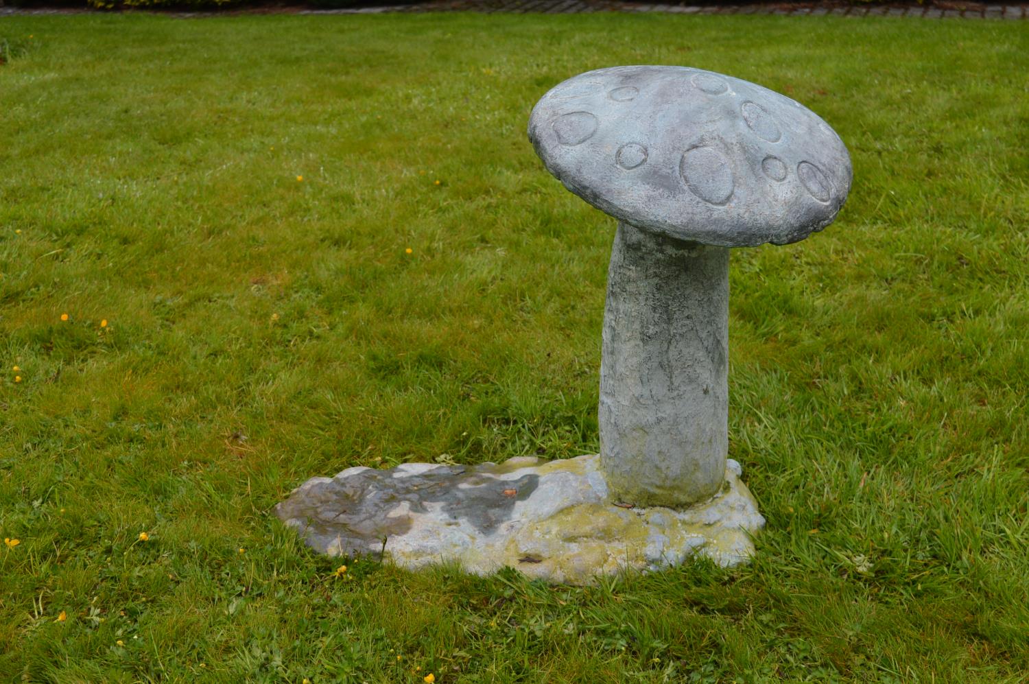 19th Century bronze sculpture of a garden mushroom 73W 64H