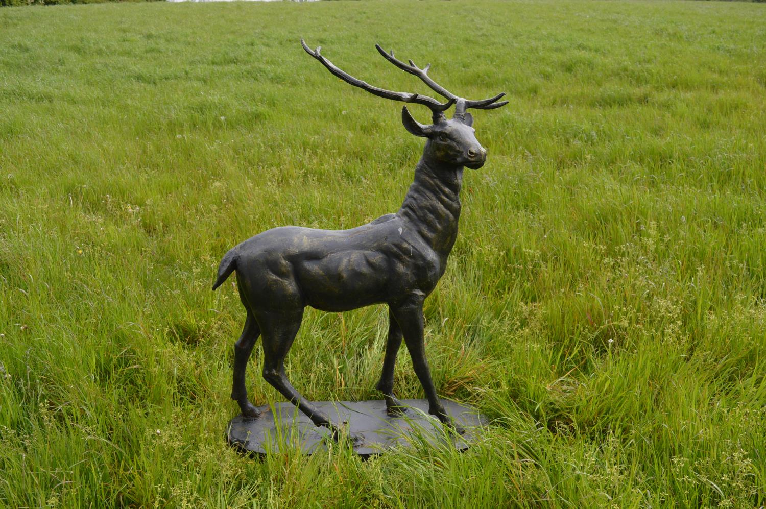 Life size cast iron model of a Irish Deer on oval base.100W 140H