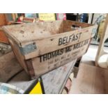 Thomas Mc Mullan Belfast advertising box.