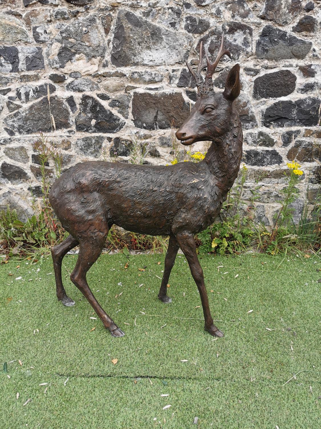 Good quality bronze model of a Deer.