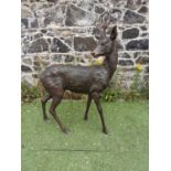 Good quality bronze model of a Deer.