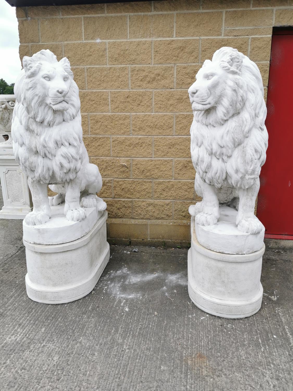 Pair of moulded stone seated Lions on pedestals.