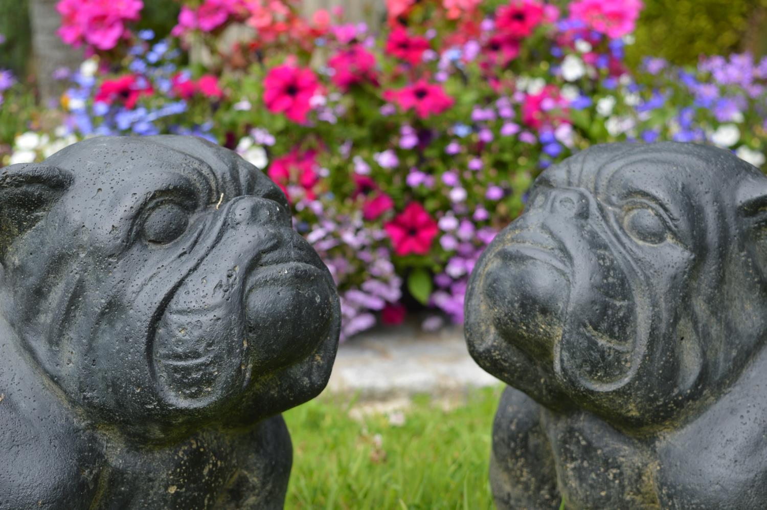 Pair of models of seated Bull dogs - Image 3 of 3