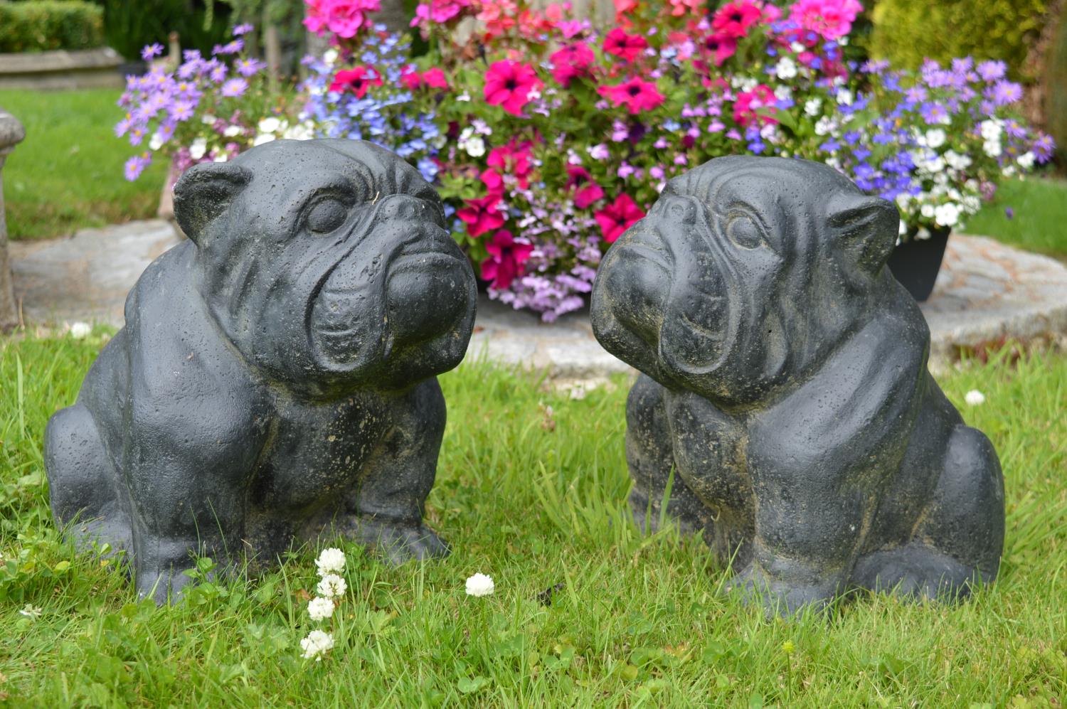 Pair of models of seated Bull dogs