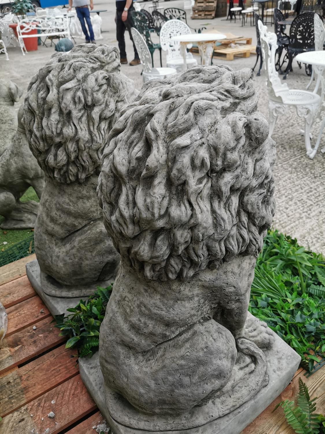 Pair of moulded stone seated Lions. - Image 3 of 3