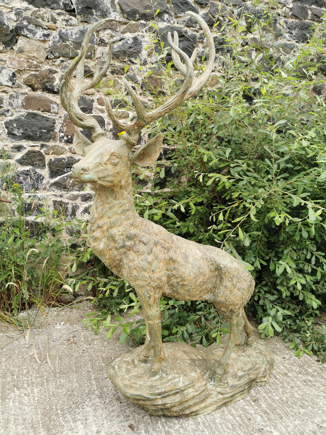 Good quality bronze Stag.