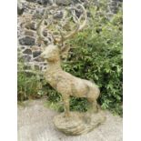 Good quality bronze Stag.