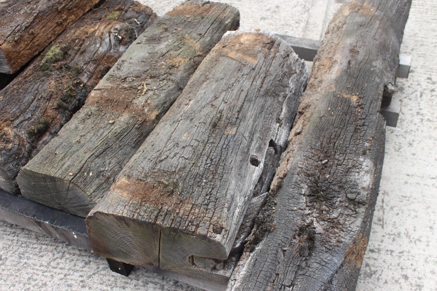 Seven pieces of bog oak