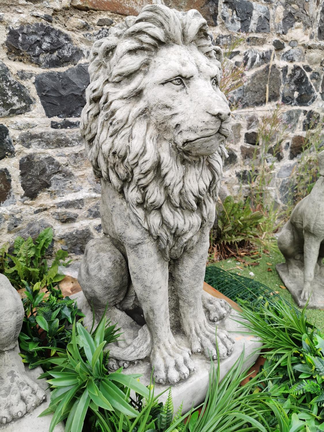 Pair of moulded stone seated Lions. - Image 2 of 3