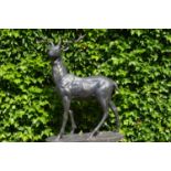 Cast iron Lifesize figure of a standing Stag