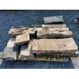 Collection of twelve 19th C. sandstone steps