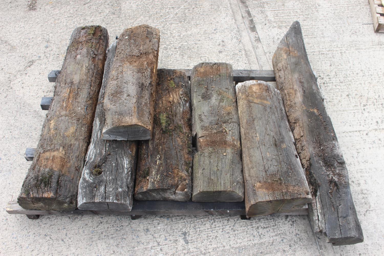 Seven pieces of bog oak - Image 5 of 5