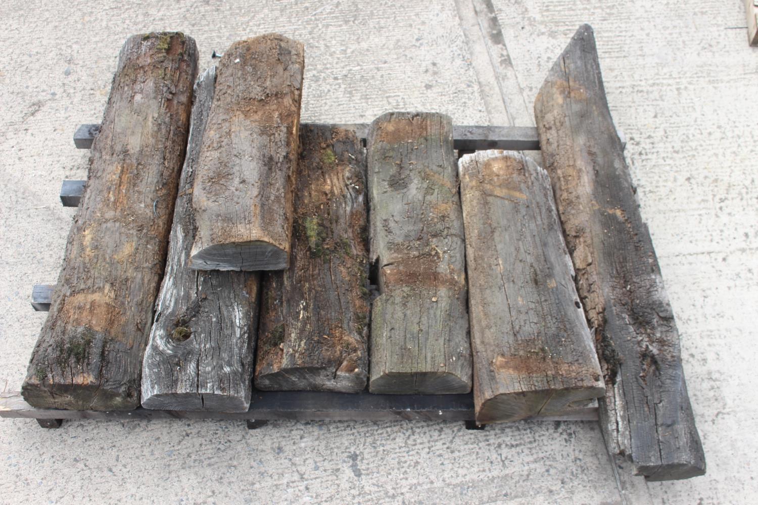 Seven pieces of bog oak - Image 4 of 5