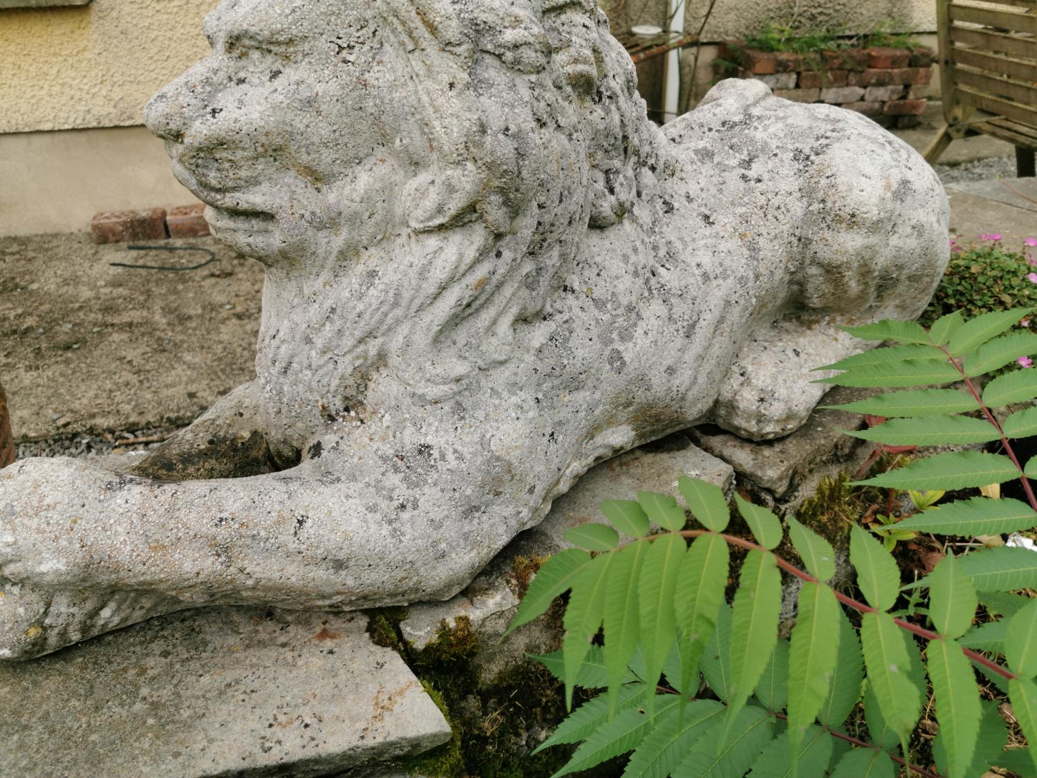 Early 20th C. composition model of a Lion. - Image 4 of 5