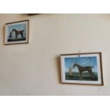 Set of four coloured Equine prints.