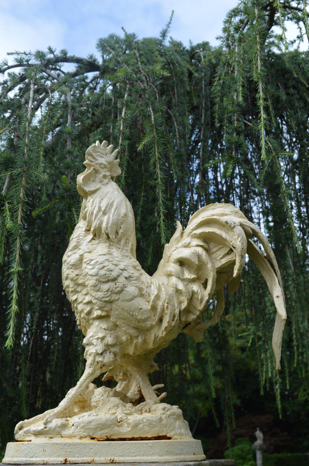 Model of Rooster