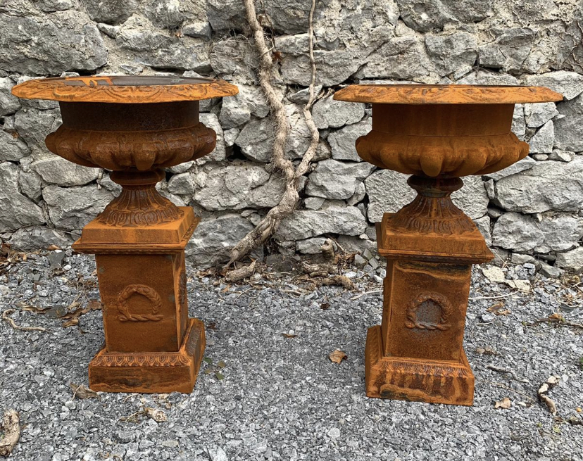 Pair of cast iron urns