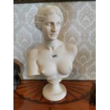 Marble bust of a Nude Lady