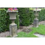 Pair of garden urns