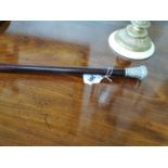 Gentleman's walking stick