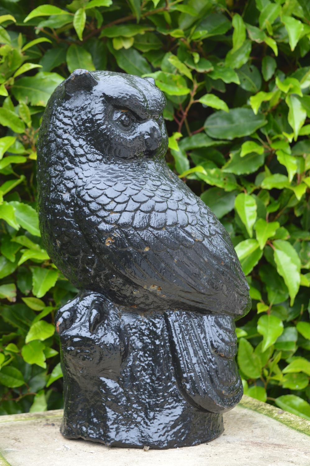 Model of Barn Owl