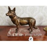 Bronze model of an Alsatian Dog