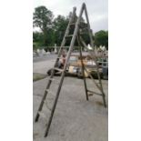 Pine Slingby Steel Held Extension Step ladder