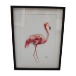 Flamigo framed coloured print