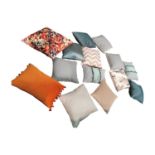 Collection of fourteen assorted cushions.