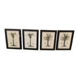 Set of four botanical prints.