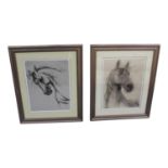 Two charcoal drawings of Horses