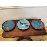 Three 19th C. cloisonné Chinese wall plates