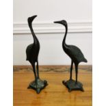 Pair of oriental Cranes