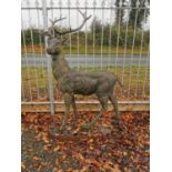 Cast iron model of a stag on plinth.