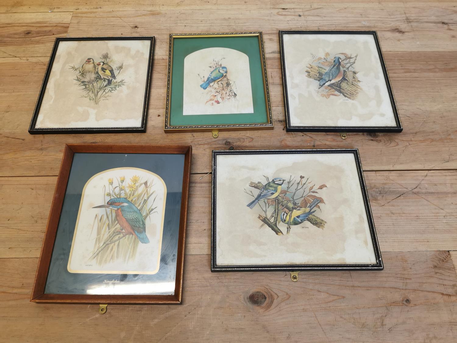 Five framed coloured Bird prints.