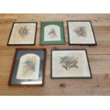 Five framed coloured Bird prints.