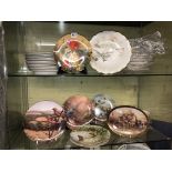 TWO SHELVES OF WEDGWOOD AND ROYAL DOULTON BIRD AND BOTANICAL PLATES