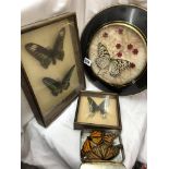 BUTTERFLY COLLAGE ROUNDEL AND OTHERS