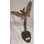 SMALL TAXIDERMY BAT ON WOODEN STAND WITH CALCAR/MIDDLE MEMBRANE A/F