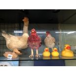 SHELF OF DUCKS,